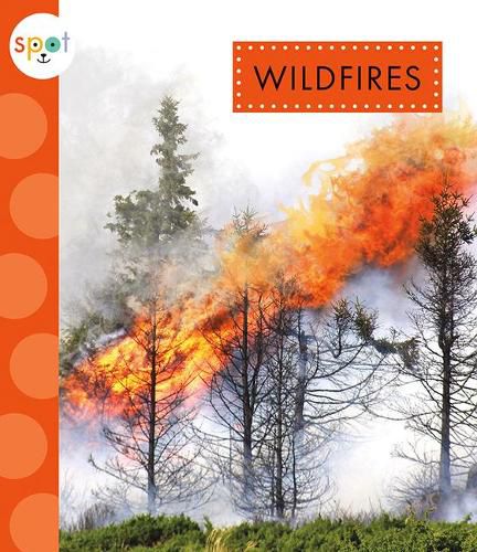 Cover image for Wildfires