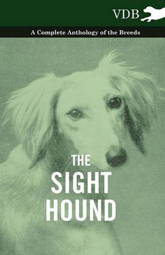 Cover image for The Sight Hound - A Complete Anthology of the Breeds