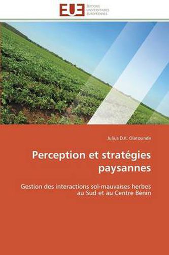 Cover image for Perception Et Strat gies Paysannes