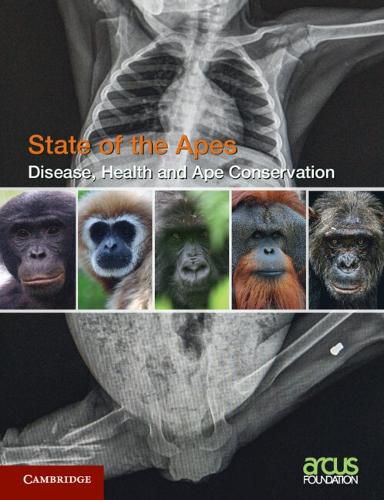 Cover image for Disease, Health and Ape Conservation: Volume 5