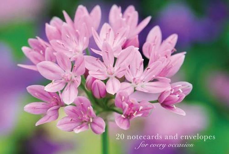 Cover image for Card Box of 20 Notecards and Envelopes: Allium