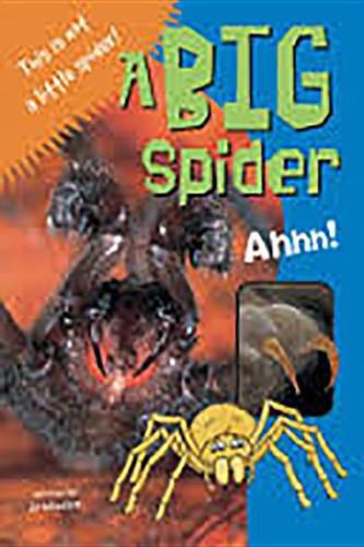 Cover image for A Big Spider: Leveled Reader Blue