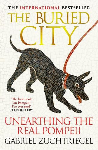Cover image for The Buried City