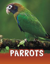 Cover image for Parrots