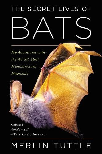 Cover image for The Secret Lives of Bats: My Adventures with the World's Most Misunderstood Mammals