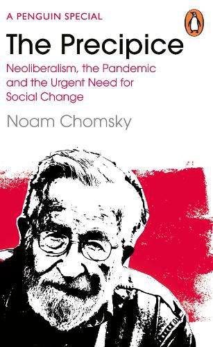 Cover image for The Precipice: Neoliberalism, the Pandemic and the Urgent Need for Radical Change