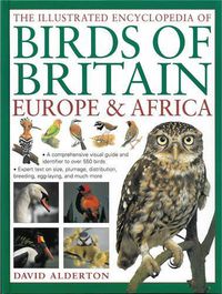 Cover image for Illustrated Encyclopedia of Birds of Britain, Europe & Africa