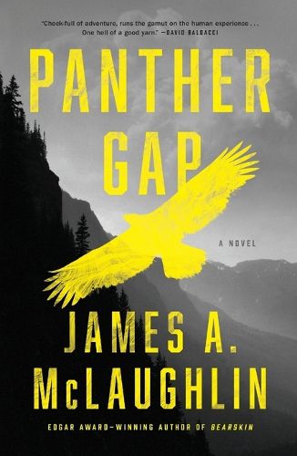 Cover image for Panther Gap