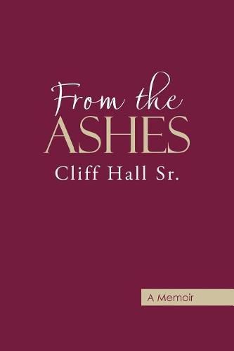 Cover image for From the Ashes