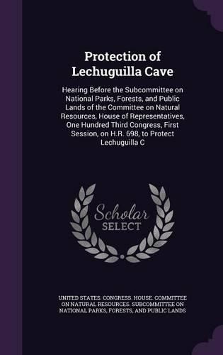 Cover image for Protection of Lechuguilla Cave