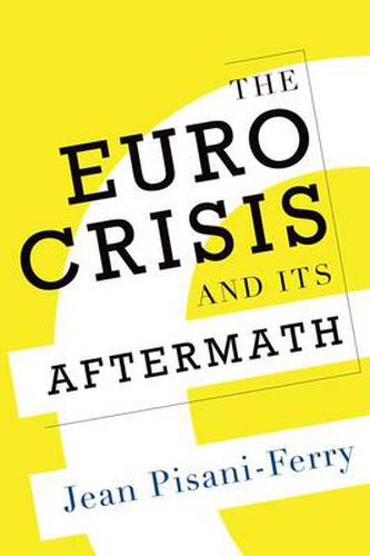 Cover image for The Euro Crisis and Its Aftermath