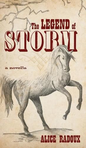 Cover image for The Legend of Storm