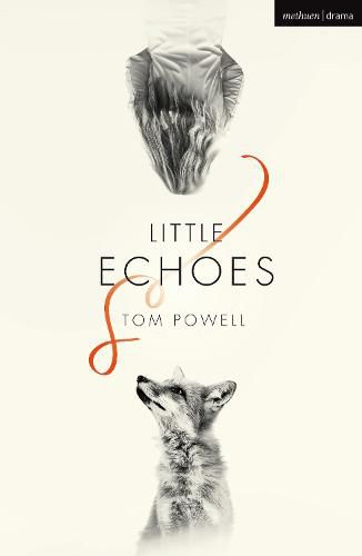 Cover image for Little Echoes