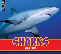 Cover image for Sharks