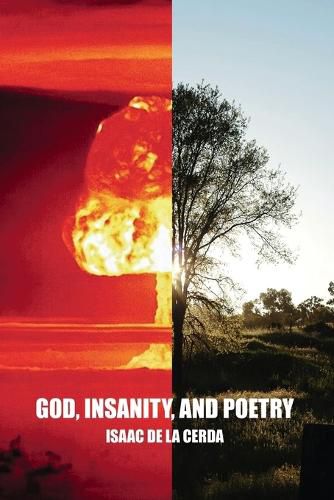 Cover image for God, Insanity, and Poetry