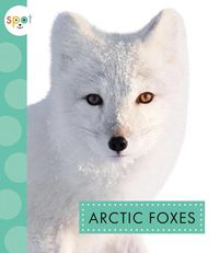 Cover image for Arctic Foxes