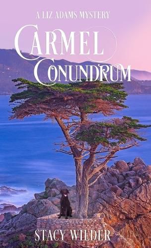 Cover image for Carmel Conundrum