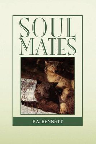 Cover image for Soul Mates