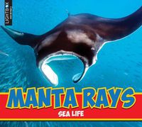 Cover image for Manta Rays