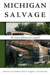 Cover image for Michigan Salvage