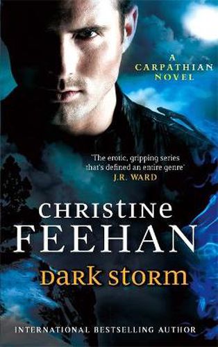 Cover image for Dark Storm: Number 23 in series