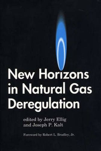 Cover image for New Horizons in Natural Gas Deregulation