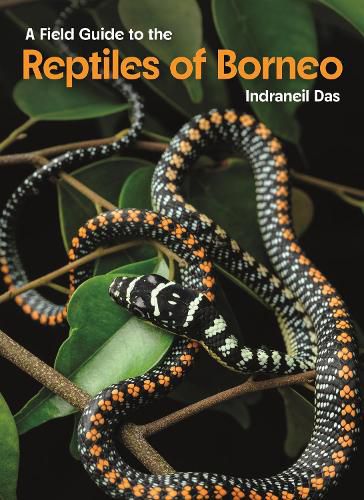 Cover image for A Field Guide to the Reptiles of Borneo