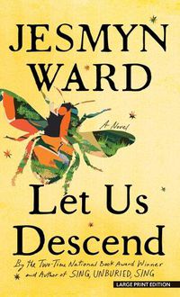 Cover image for Let Us Descend