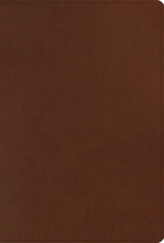Cover image for ESV Men's Study Bible