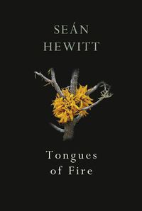 Cover image for Tongues of Fire