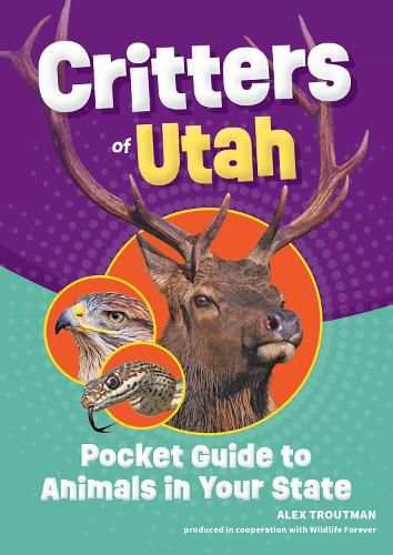 Cover image for Critters of Utah