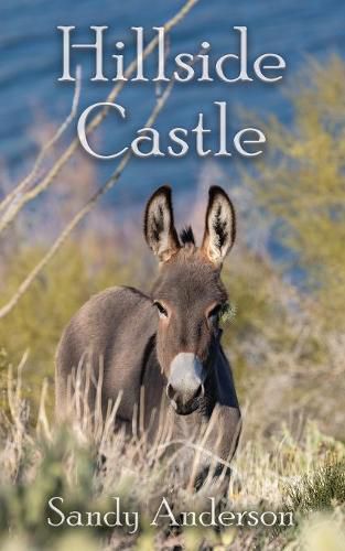 Cover image for Hillside Castle