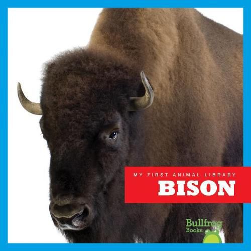 Cover image for Bison