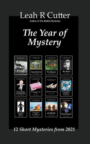 Cover image for The Year of Mystery