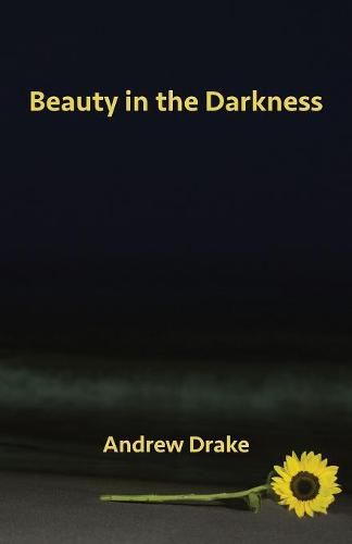 Cover image for Beauty in the Darkness