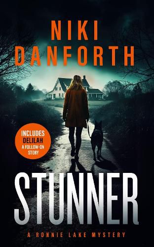 Cover image for Stunner