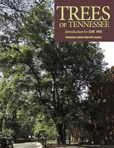 Cover image for Trees of Tennessee