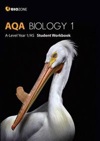 Cover image for AQA Biology 1 A-Level 1/AS: Student Workbook