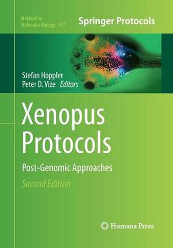 Cover image for Xenopus Protocols: Post-Genomic Approaches