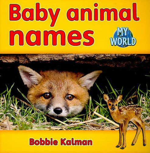 Cover image for Baby animal names: Animals in My World