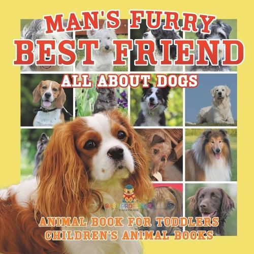 Man's Furry Best Friend