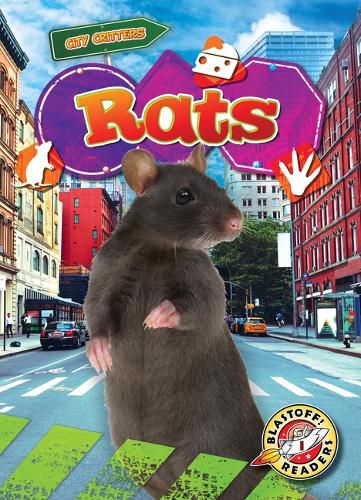 Cover image for Rats