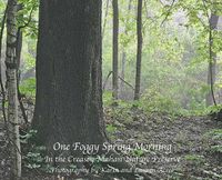 Cover image for One Foggy Morning in Spring: In the Creasey Mahan Nature Preserve