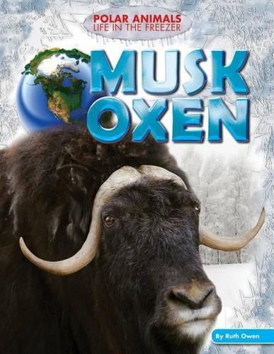 Cover image for Musk Oxen