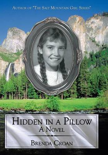 Cover image for Hidden in a Pillow