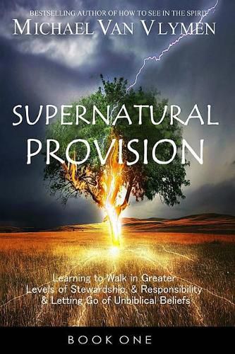 Cover image for Supernatural Provision: Learning to Walk in Greater Levels of Stewardship and Responsibilty and Letting Go of Unbiblical Beliefs