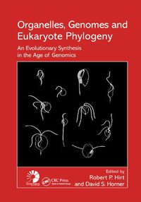 Cover image for Organelles, Genomes and Eukaryote Phylogeny: An Evolutionary Synthesis in the Age of Genomics