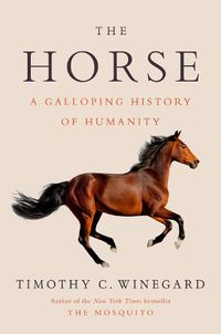 Cover image for The Horse