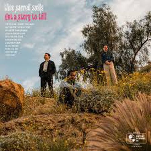 Cover image for Got A Story To Tell (Magenta Vinyl)
