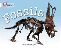 Cover image for Fossils: Band 10/White